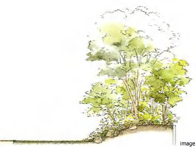 ガーデンイメージ｜番町パークハウス