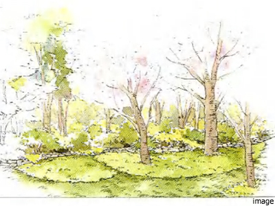 ガーデンイメージ｜番町パークハウス